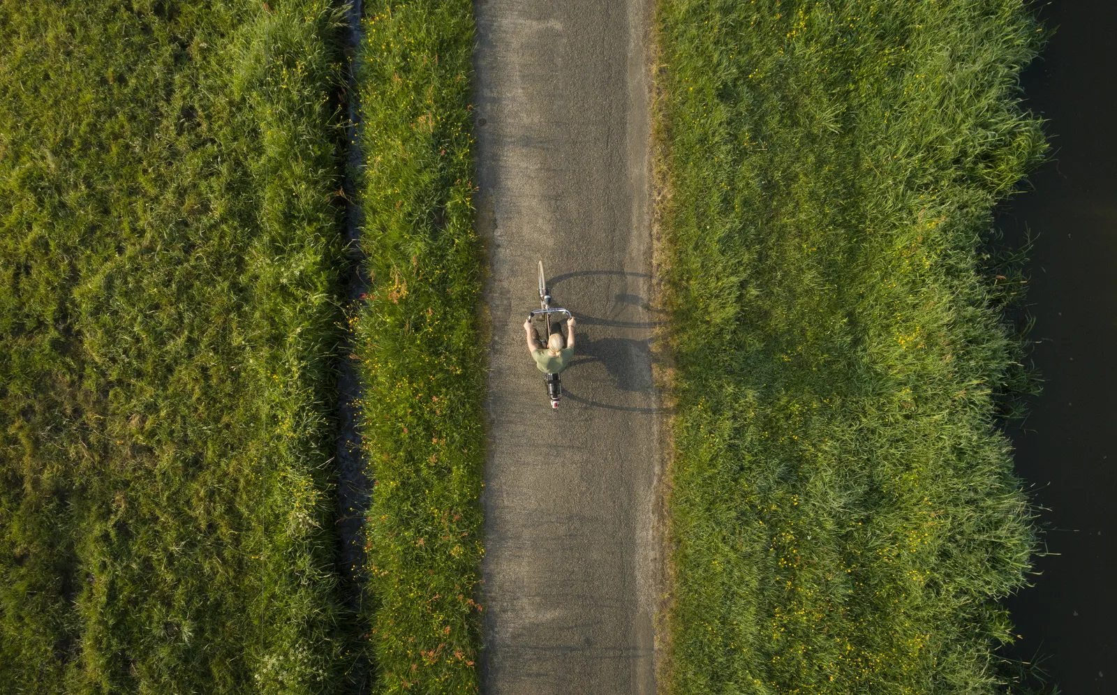 biking in palm coast