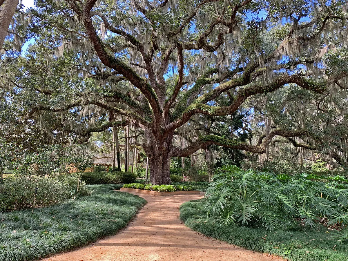 Washington Oaks Gardens State Park, Palm Coast