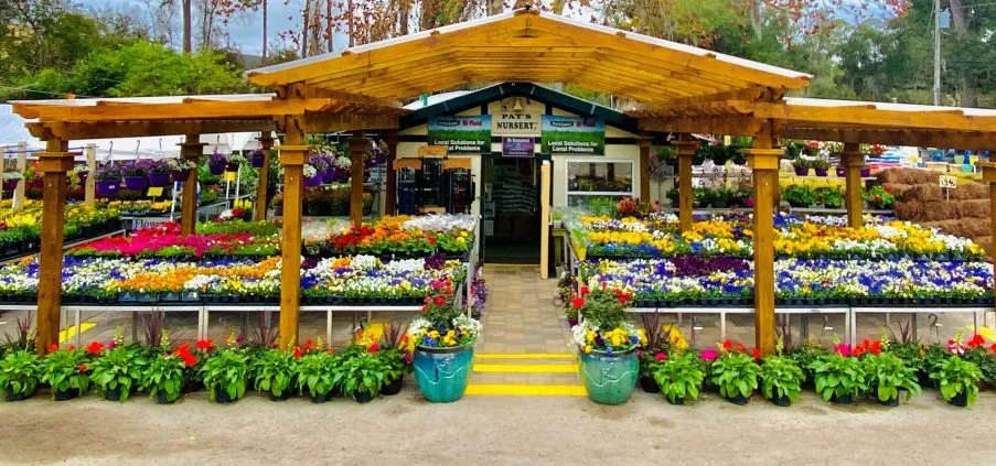 Florida Nursery