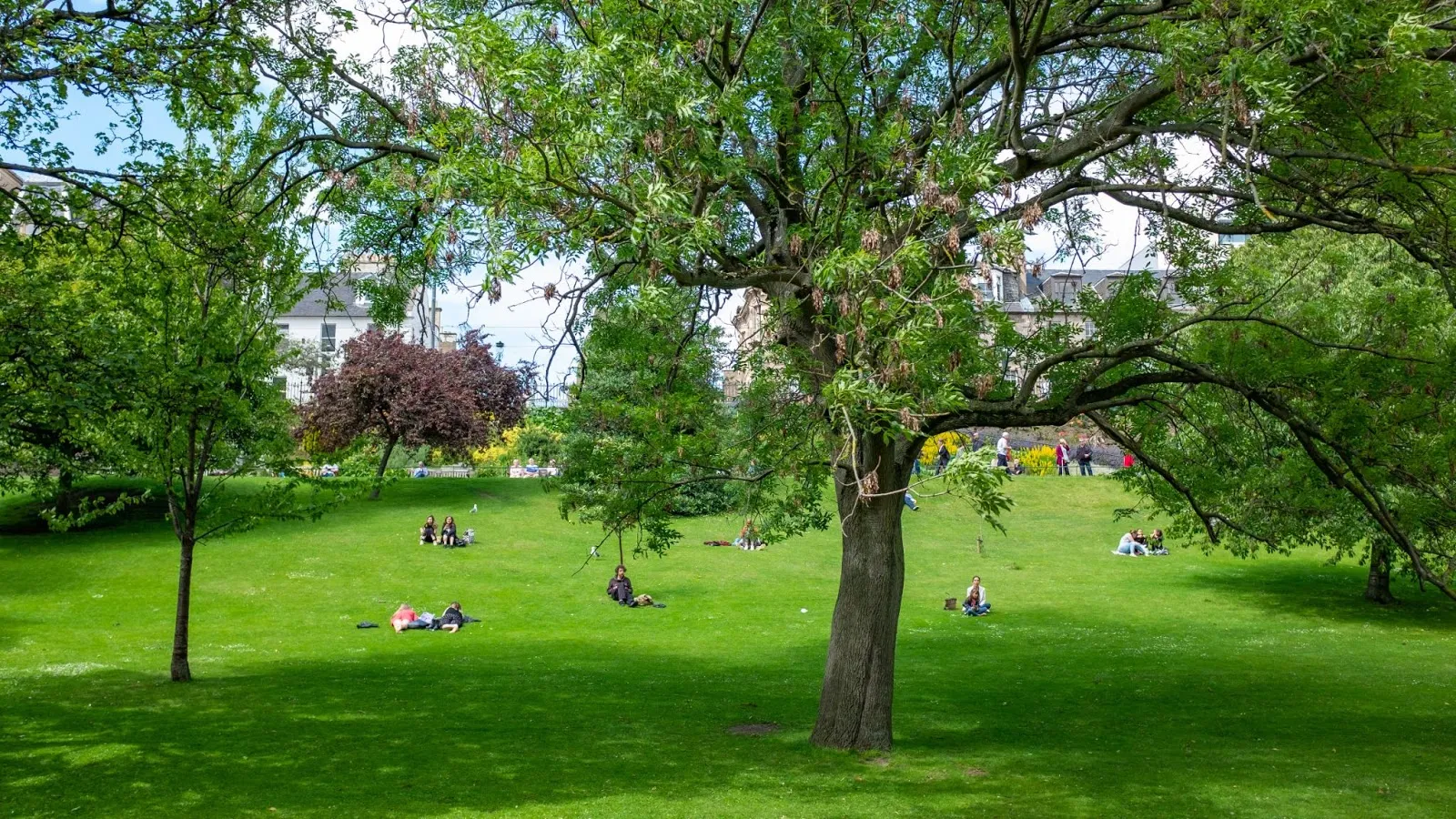 Access to Parks and Recreation