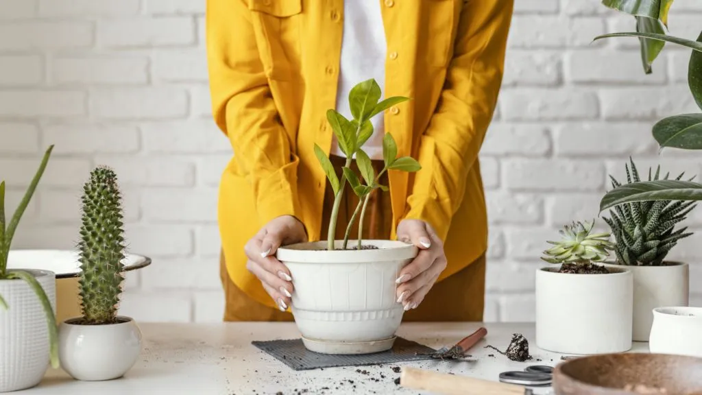 Add Greenery: Bring Life and Freshness to Your Vacation Rental