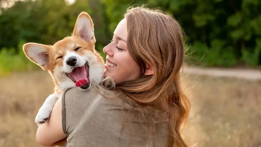 Pet Ownership