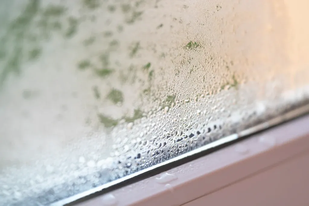 High Indoor Humidity