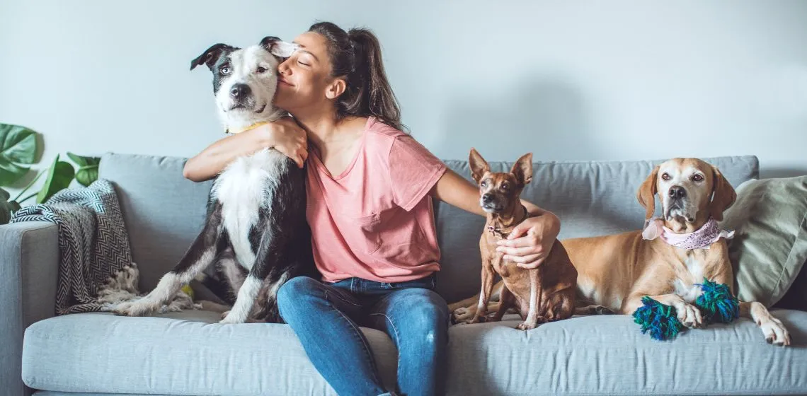 Rental with pet