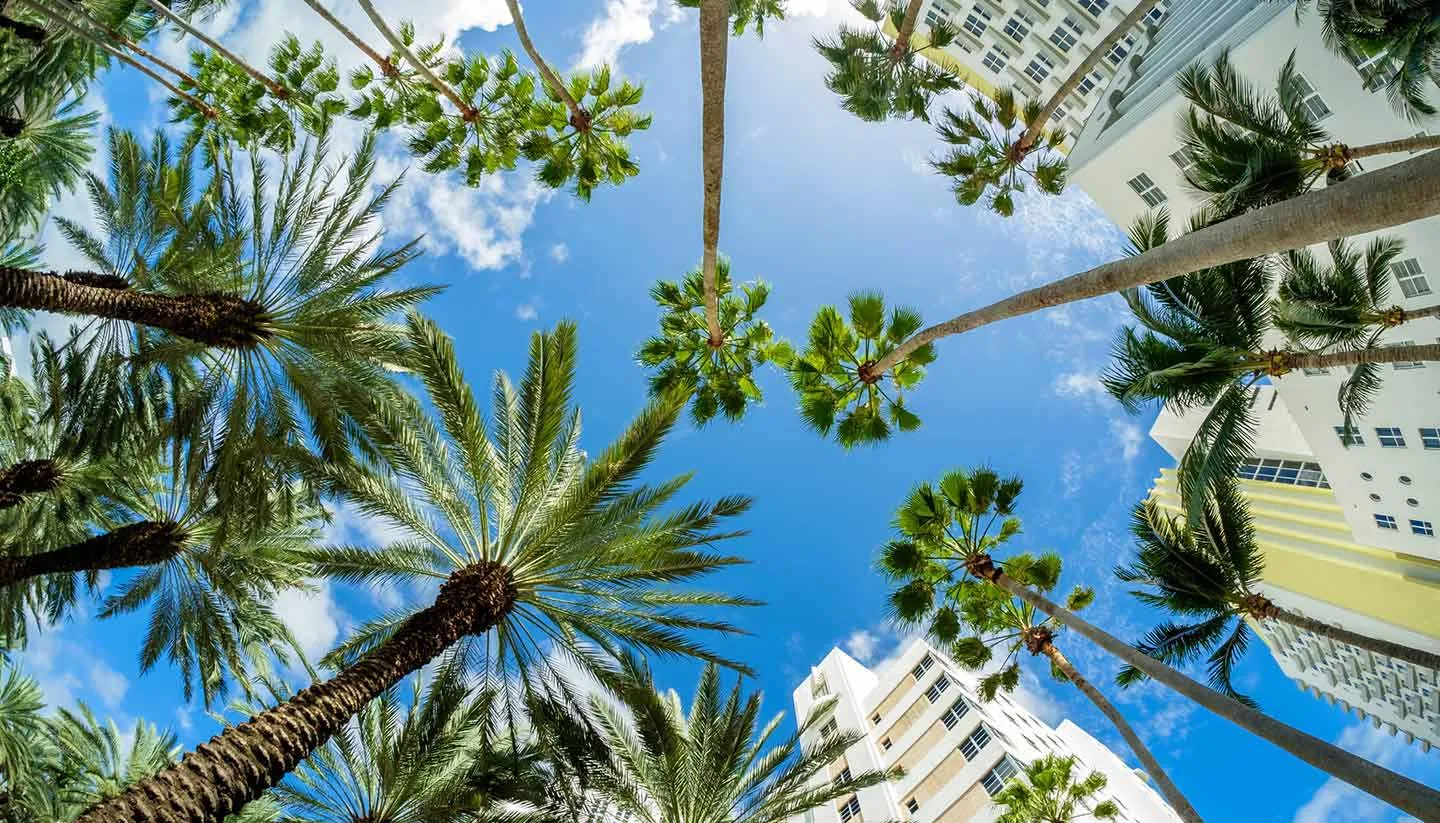 Understand the Weather: Preparing for Florida’s Unique Climate