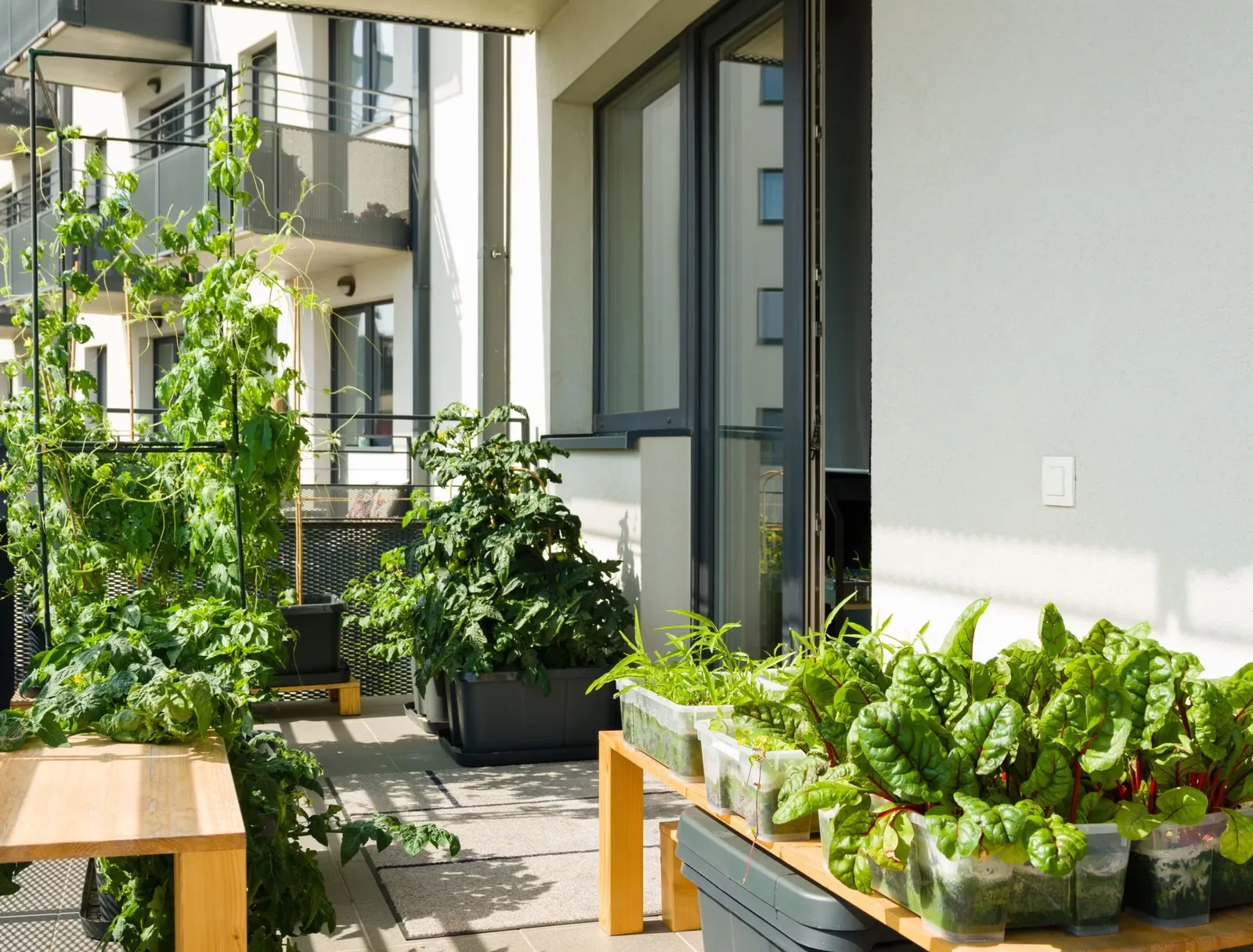 Temporary Raised Beds: A Smart Gardening Solution for Renters