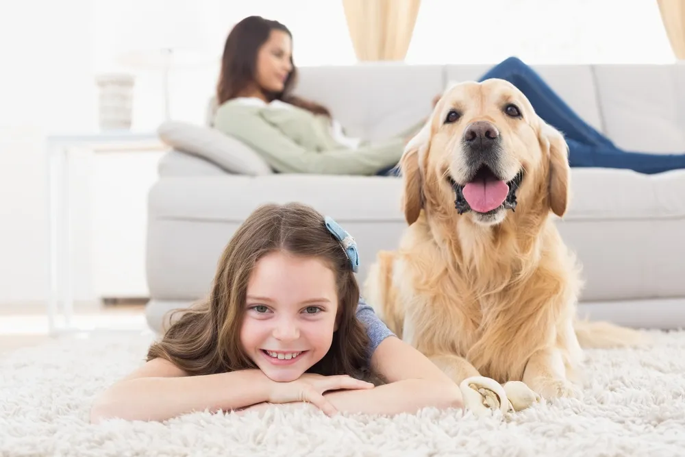 Pets & HOAs: what Boca/Deerfield associations commonly restrict vs. typical Palm Coast SFH policies