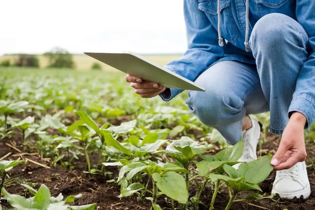 Reducing Environmental Impact