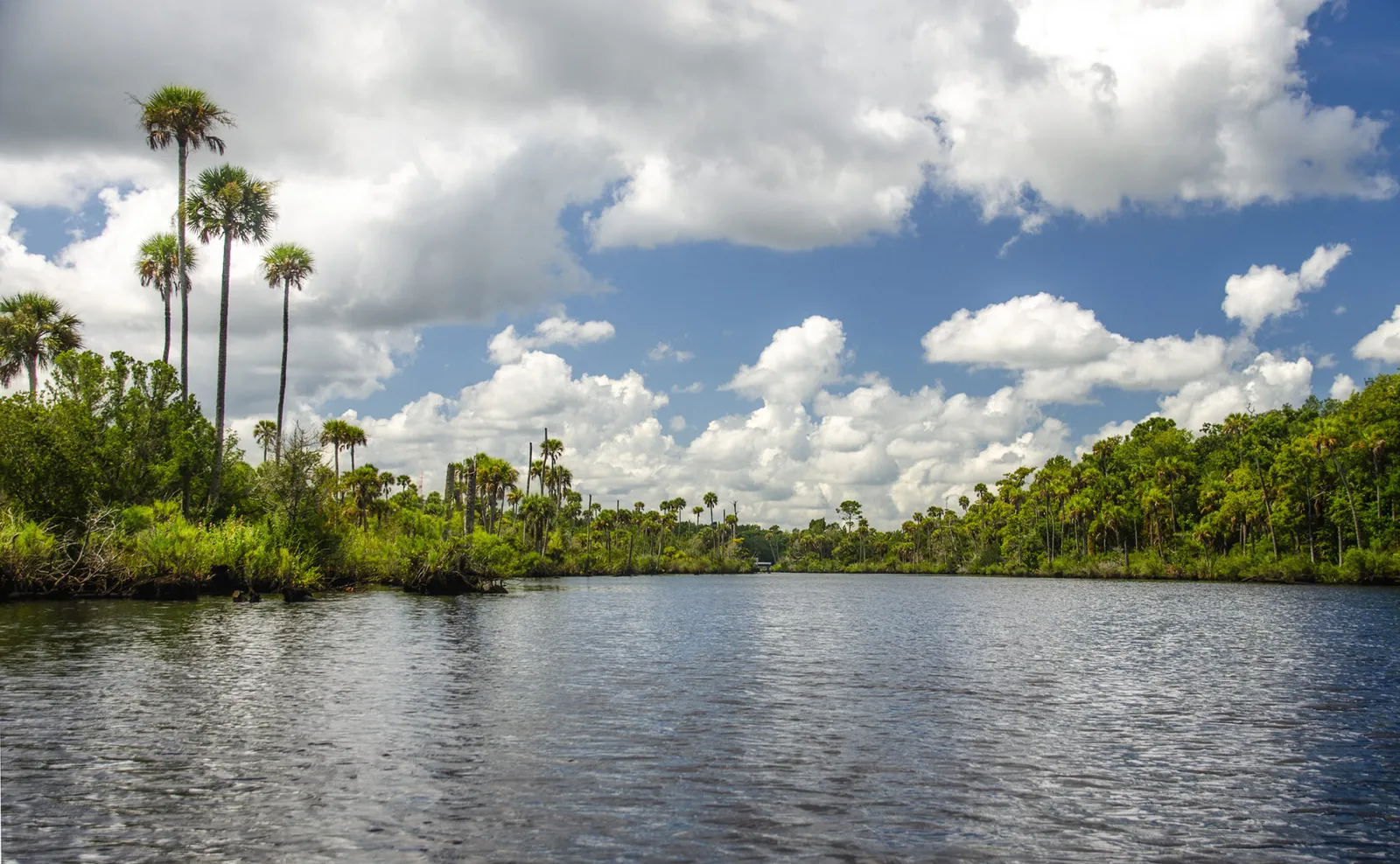 Tomoka River kayaking palm coast rentals