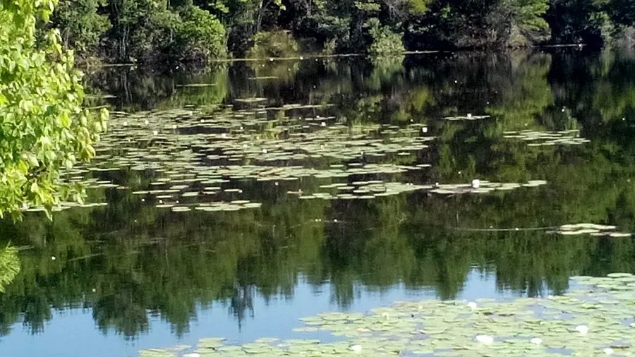 Discover Palm Coast, Florida