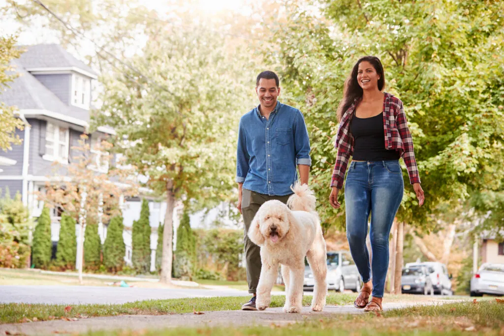 HOA Rules and Community Amenities: Townhouse vs Single Family Rental