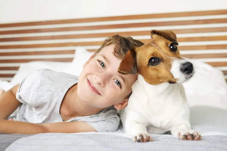 HOA Rules Can Affect Pets