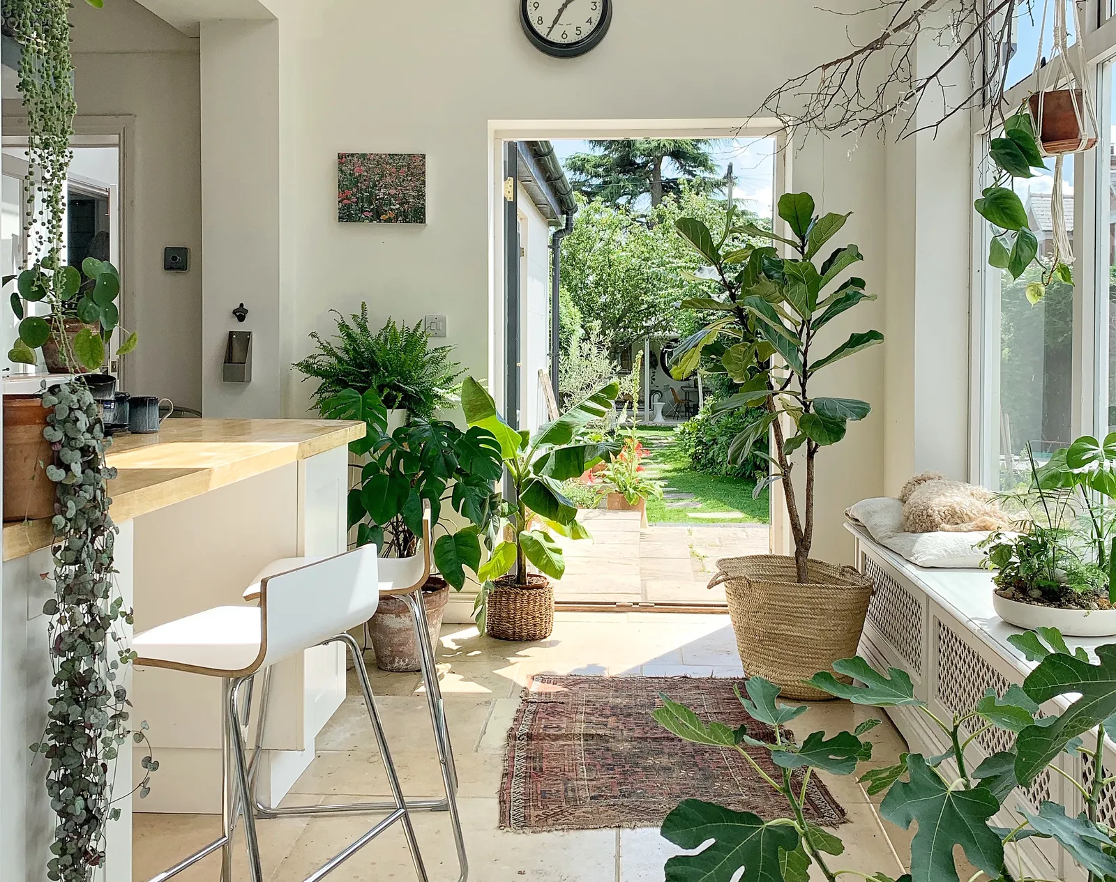 Indoor Gardening: The Perfect Green Solution for Renters Without Outdoor Space
