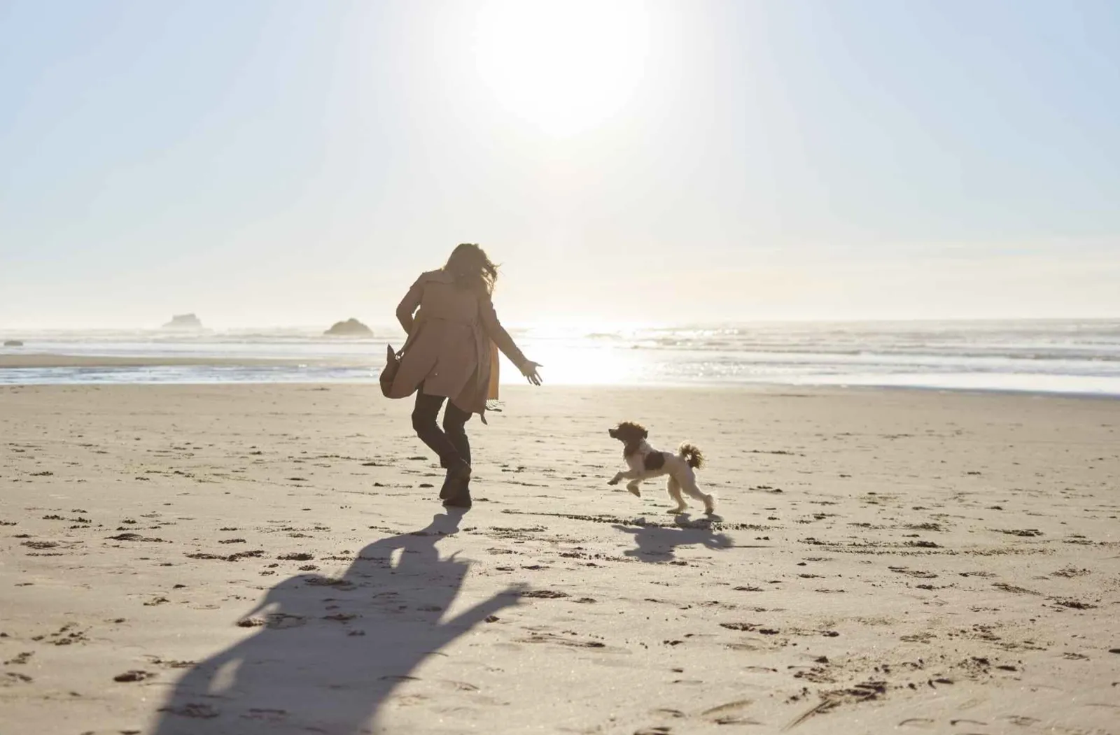  Dog-Friendly Coastal Walks Worth Exploring