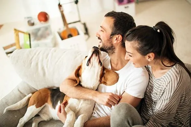 Tap Into Pet‑Friendly Communities When Searching for a Rental