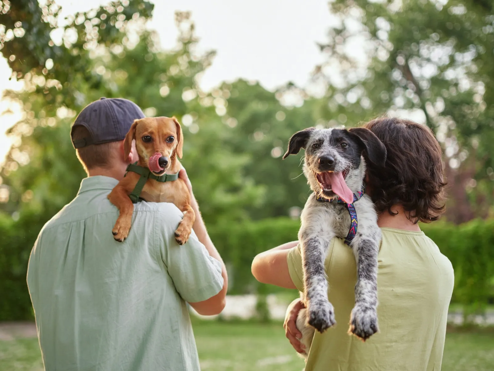 Connecting with the Local Pet Community: Finding Friendship and Support in a New City