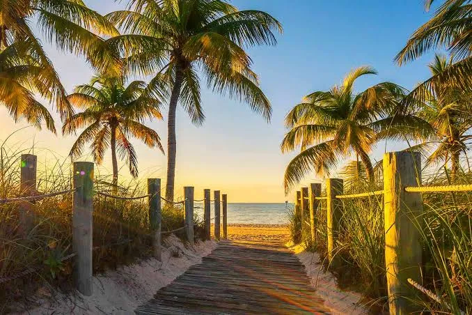  Weather in South Florida: Mild Days, Sunshine, and Holiday Cheer