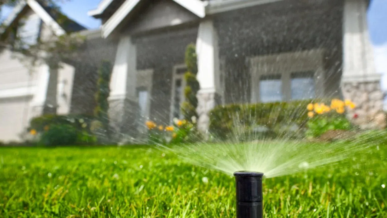 Efficient Watering Solutions for Florida Rental Properties