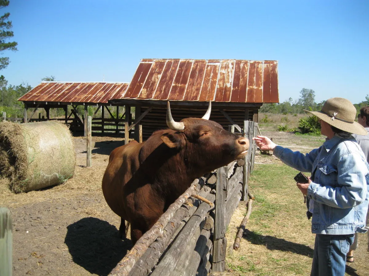 Holland Farms