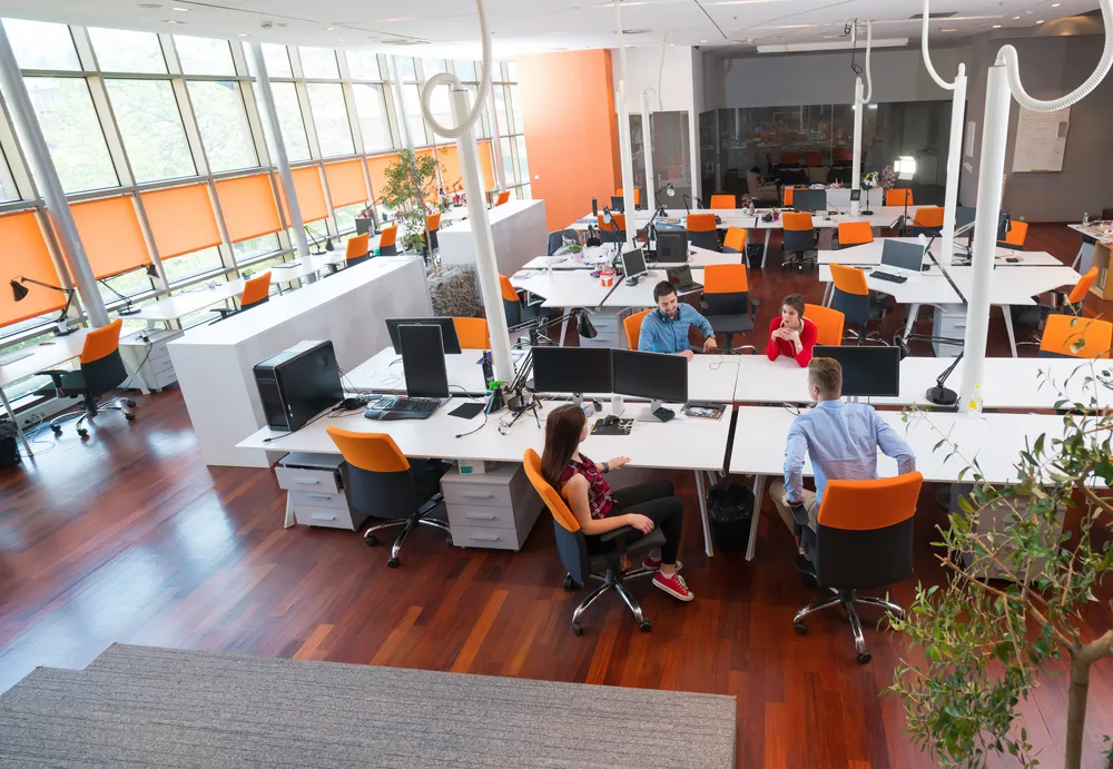Workspace: Dedicated, Comfortable, and Functional