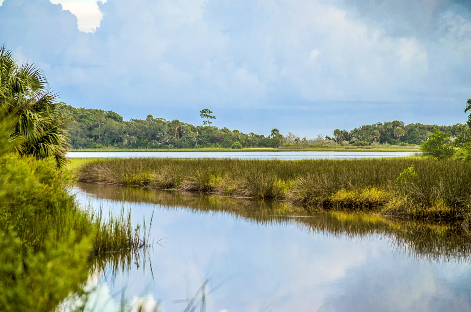 Pellicer Creek kayaking natural reserve palm coast