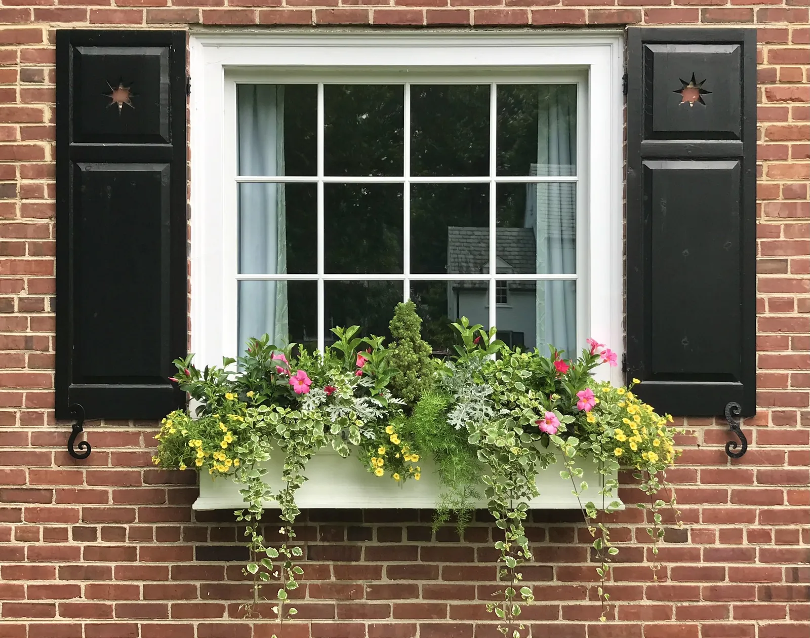 Window Boxes and Hanging Baskets: Simple Solutions for Renters to Add Greenery