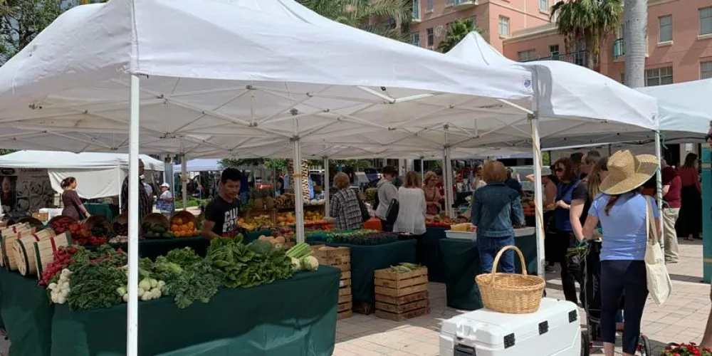 Mizner market