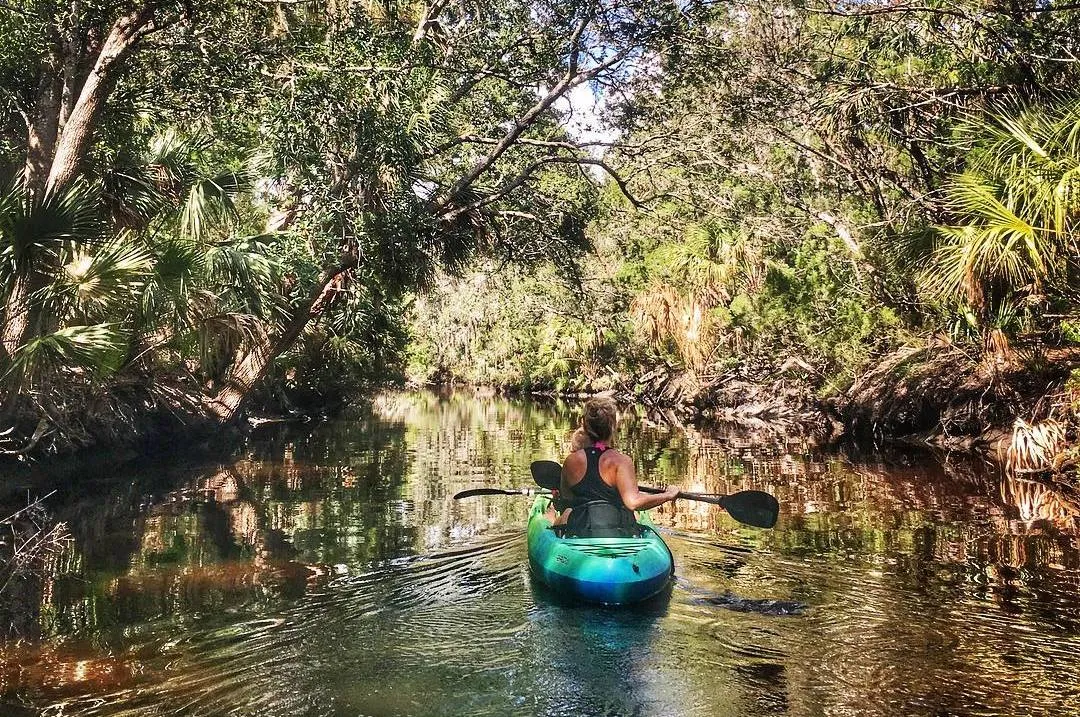  Access to Recreation, Dining, and Culture