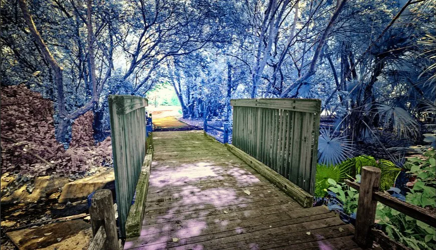 Arboretum Nature Walks deerfield beach
