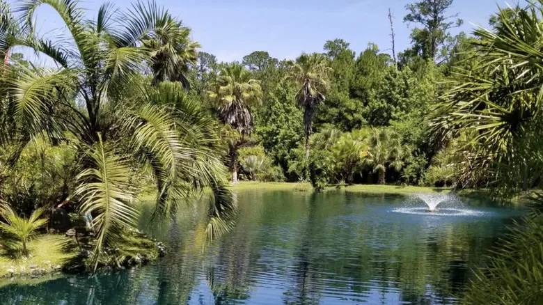 Tropical Gardens and Wildlife: Exploring Florida’s Natural Diversity