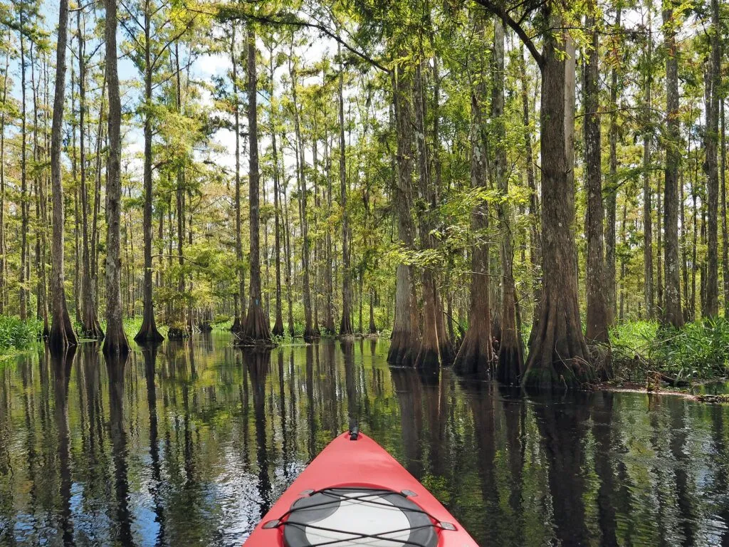 The Best Places to Kayak in Palm Coast