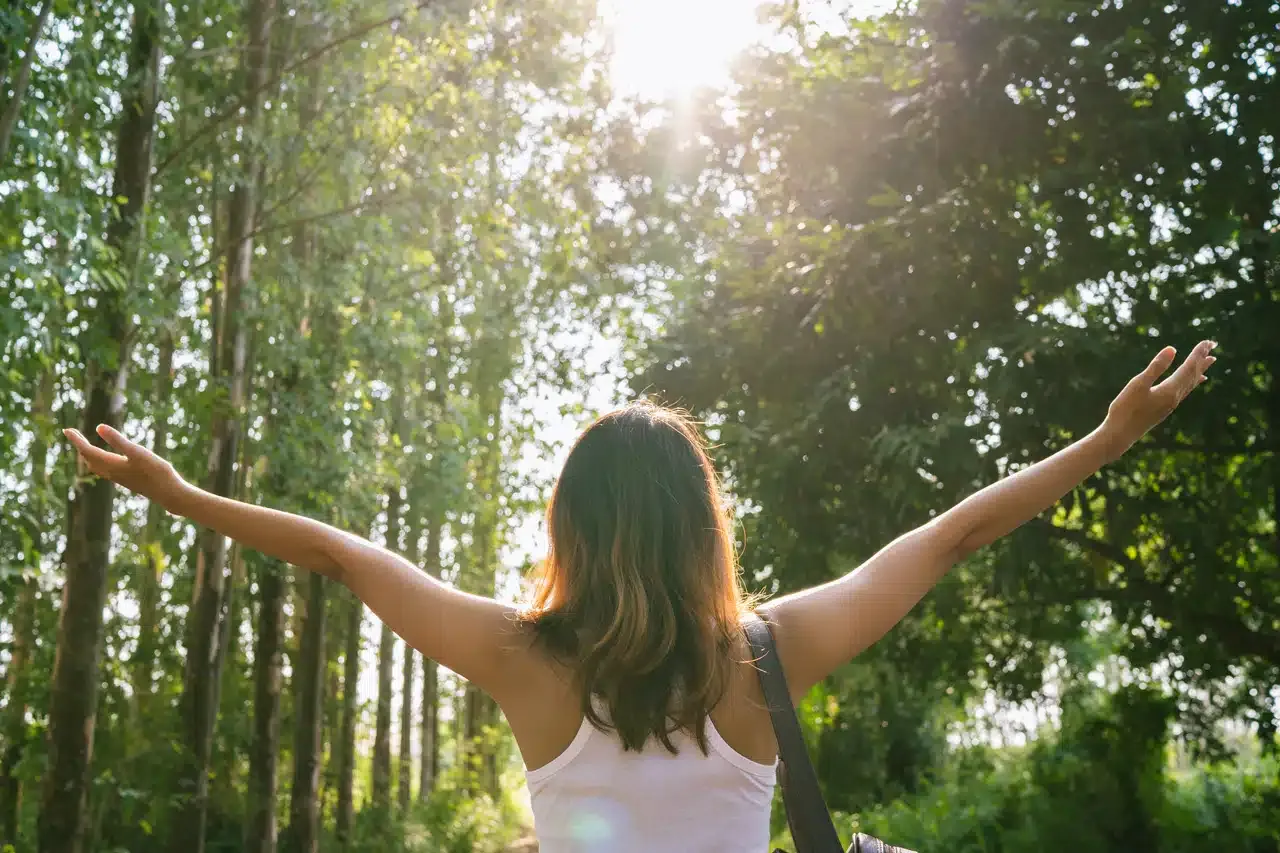 Sustainability at Oasis Rentals: Eco-Friendly Practices You’ll Appreciate