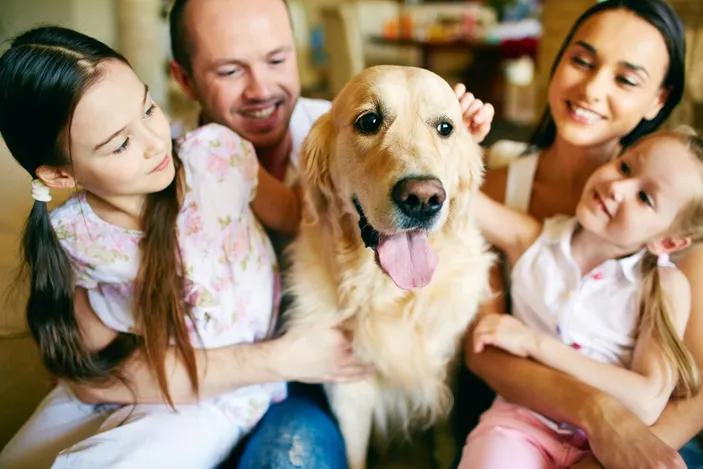 Pet-Friendly Options for the Whole Family