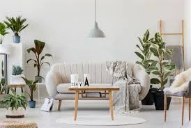 Sustainable Living: Eco-Friendly Features to Look for in Rentals
