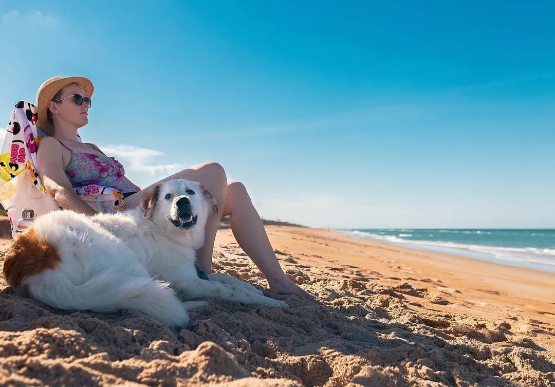 Neighborhoods in Palm Coast That Tend to Work Best for Large Dogs: Why Pine Lakes Stands Out
