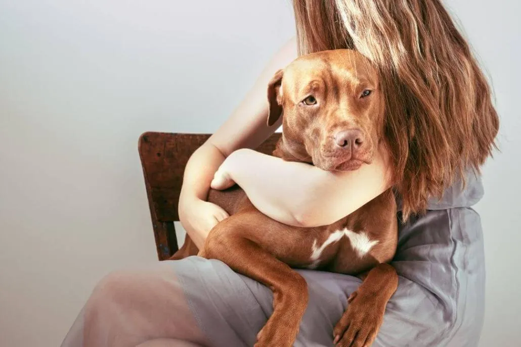 Requesting an Accommodation for Service or Emotional Support Animals in Florida HOAs and Condos