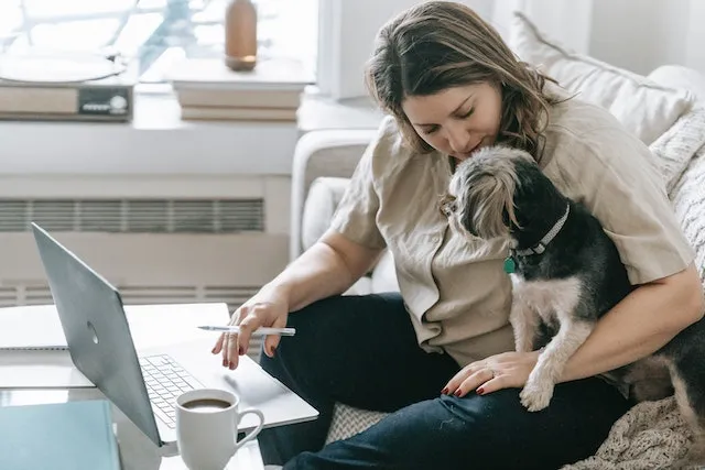 Pet care business