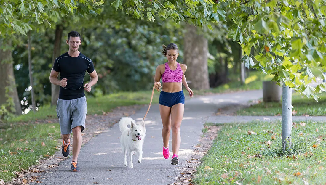 Community Parks and Dog Runs: Where Nature and Neighborliness Meet