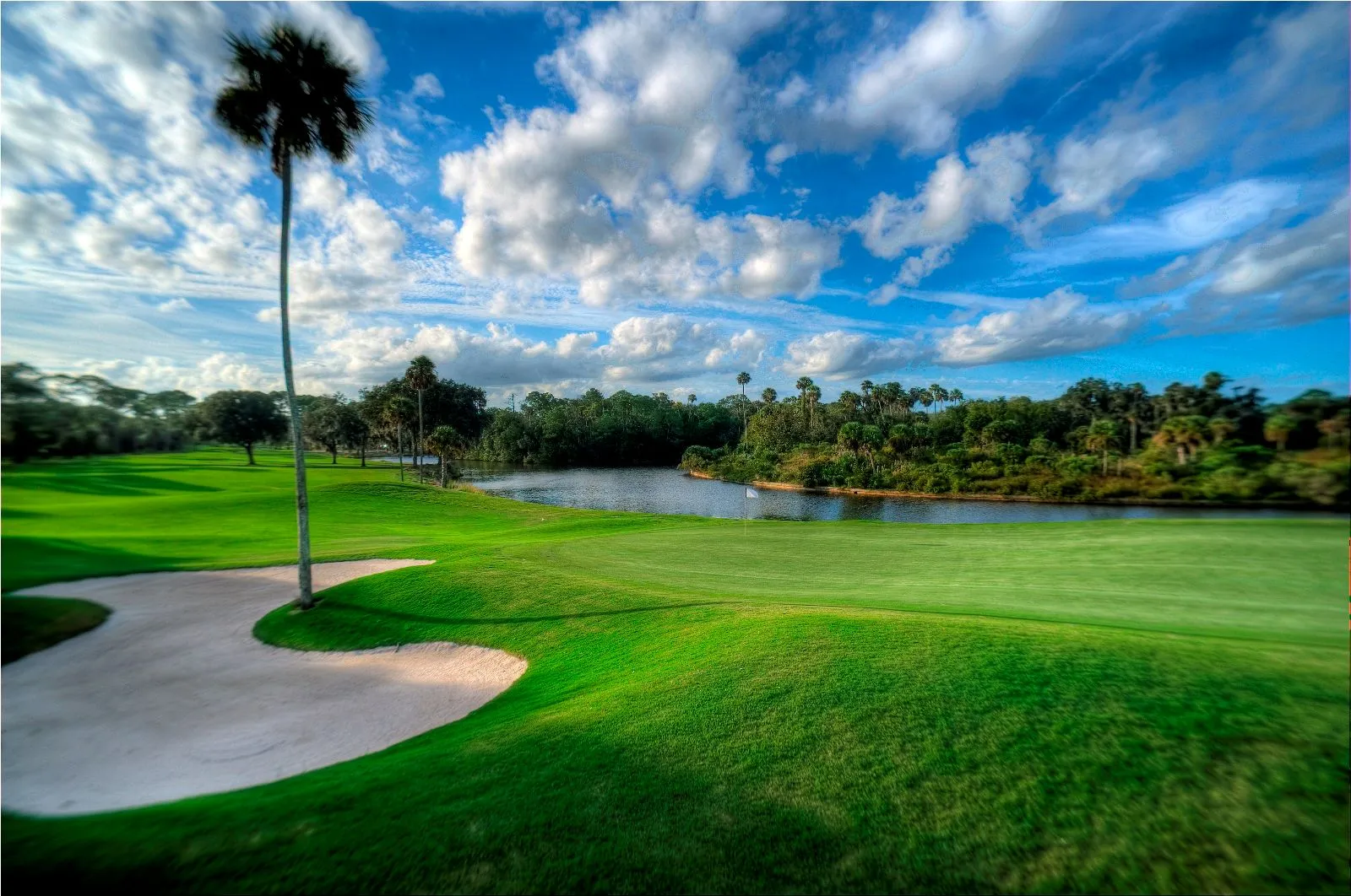 Palm Harbor golf club