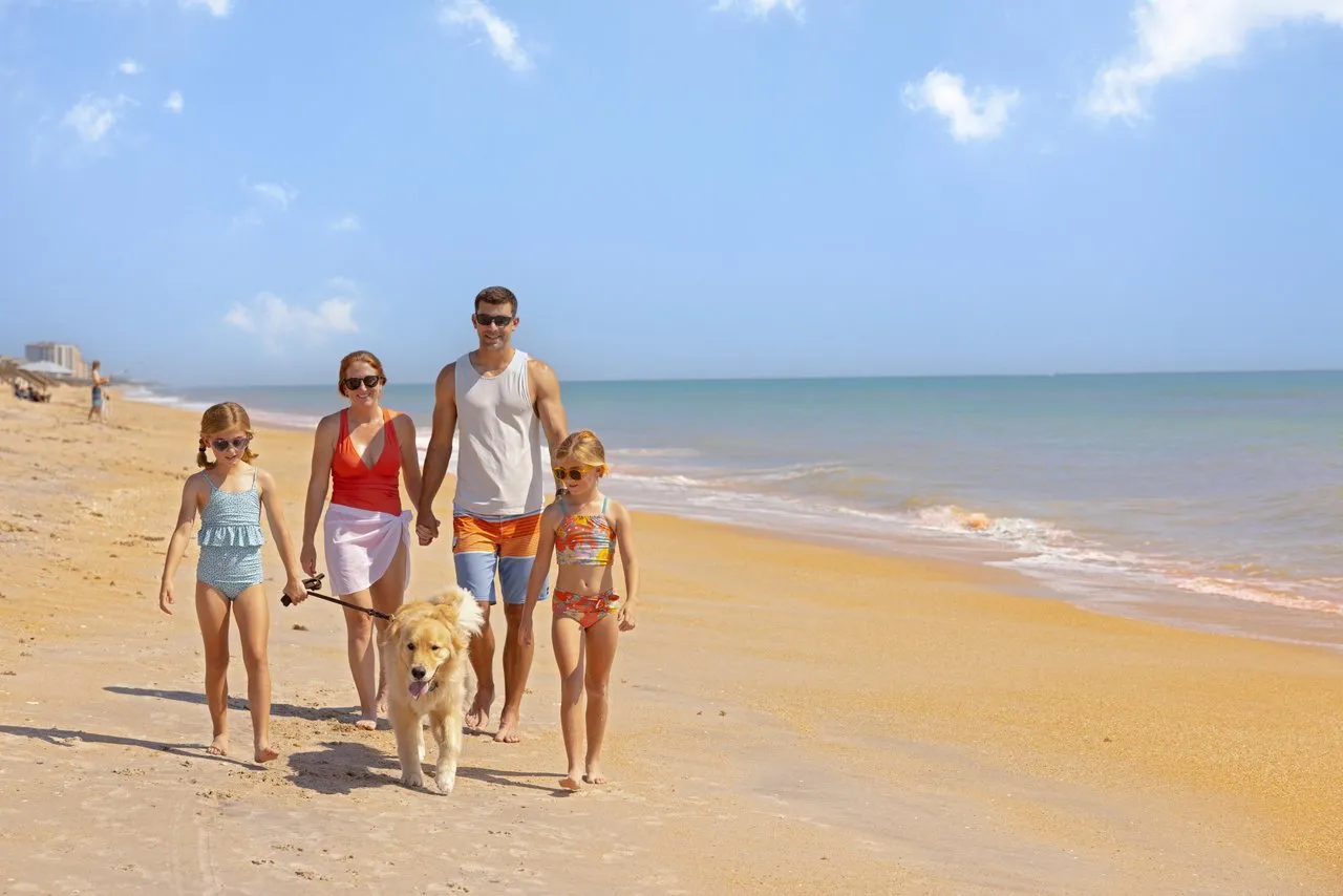 Pet-Friendly Rentals in Palm Coast: Which Neighborhoods Actually Welcome Large Dogs