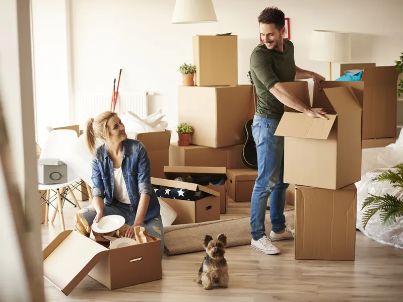 Frequent Moves: The Hidden Stress and Cost of Constant Relocation