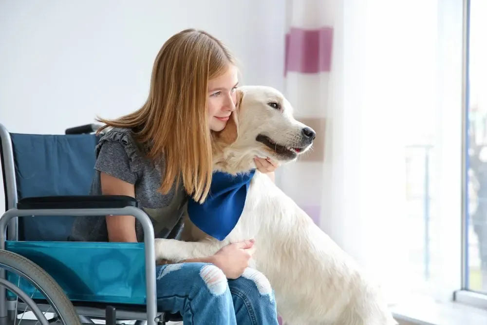 Service Animals in Public Spaces: What You Can and Can’t Ask Under the ADA