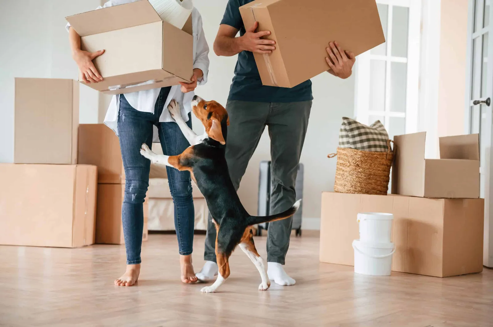 Making Home Feel Like Home—for Both of You: Helping Your Pet Settle In After a Move