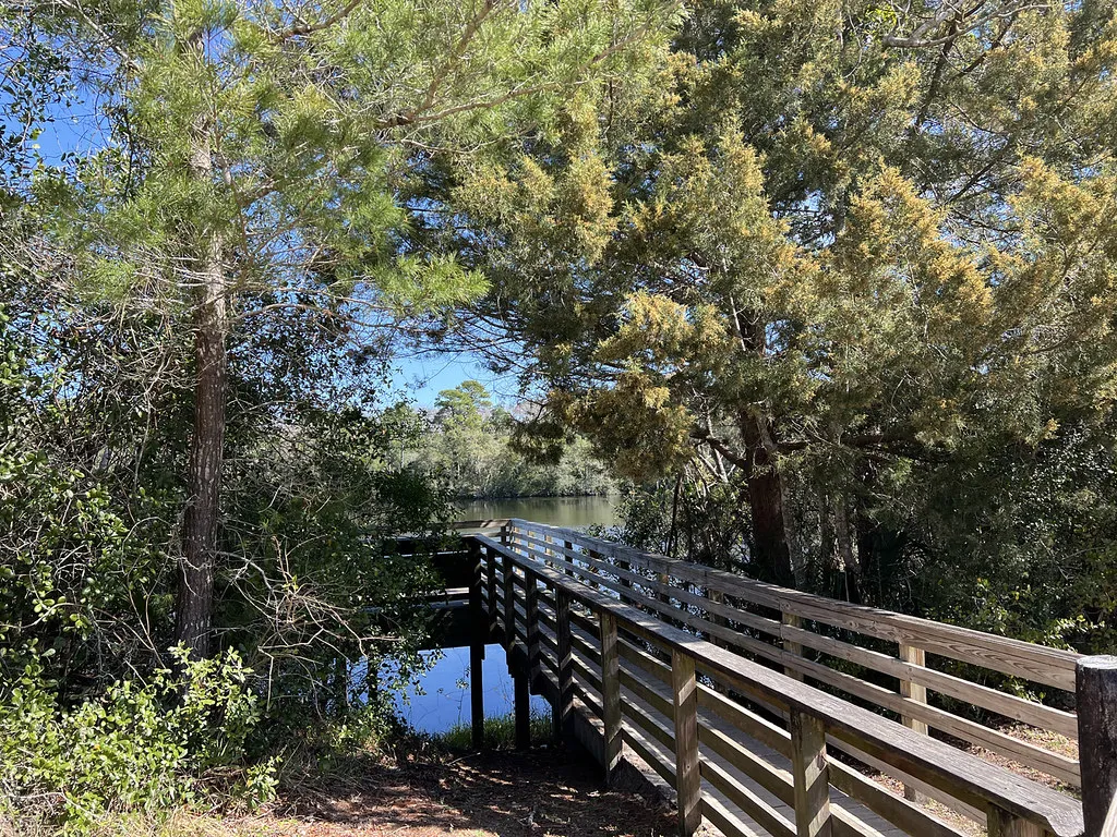Graham Swamp: A Wild Florida Experience in Palm Coast