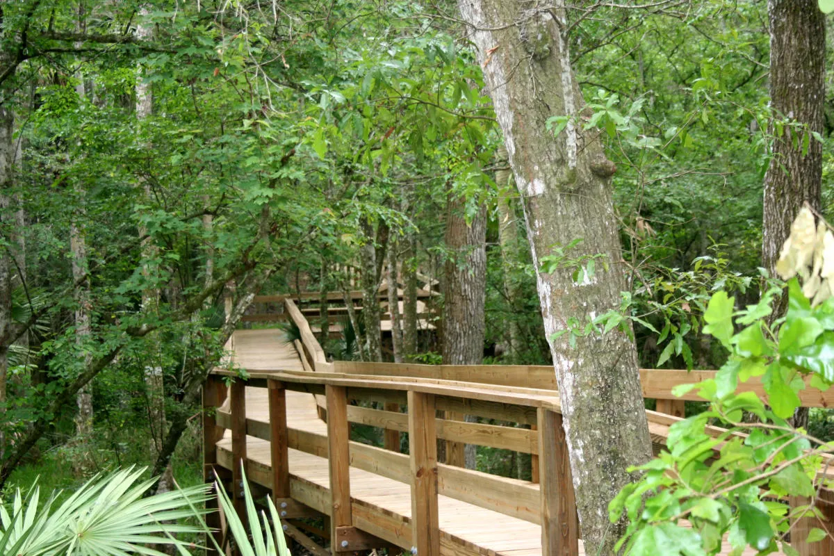 Princess Place Preserve, hiking in Palm Coast