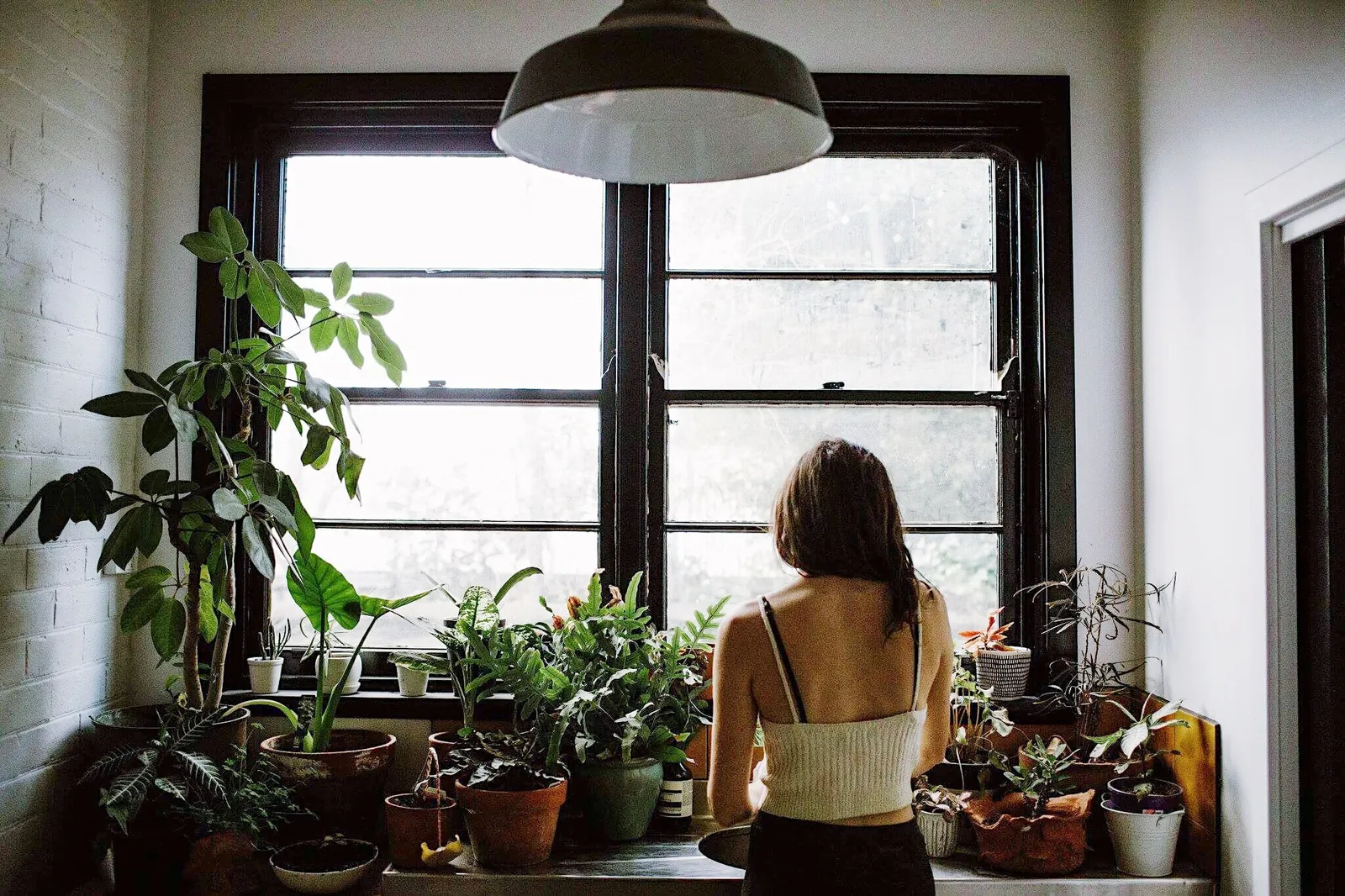 Bring in Greenery to Liven Up Your Rental