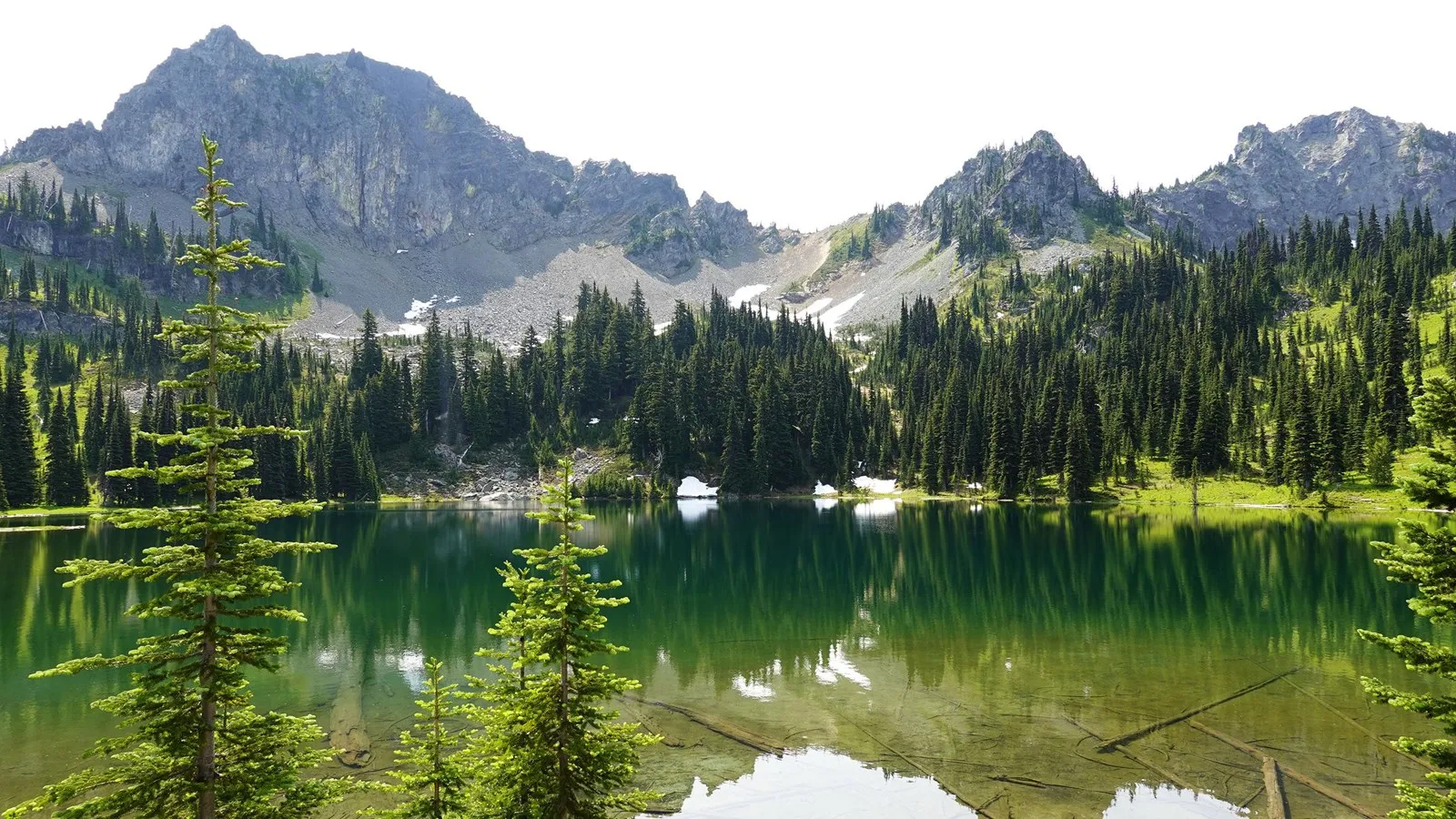 The Meadows of Crystal Lake