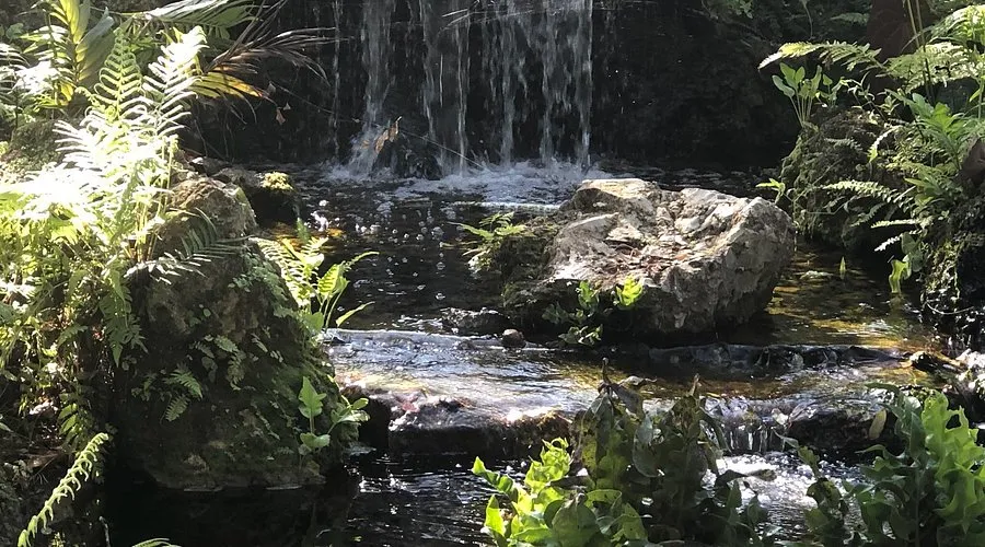 Deerfield Beach Arboretum: A Botanical Treasure