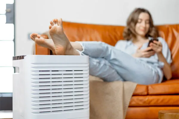 Impact on Indoor Air Quality: How Florida’s Humidity Affects Your Home Environment