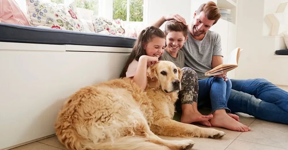 Pet-welcoming rentals in Palm Coast and Deerfield Beach